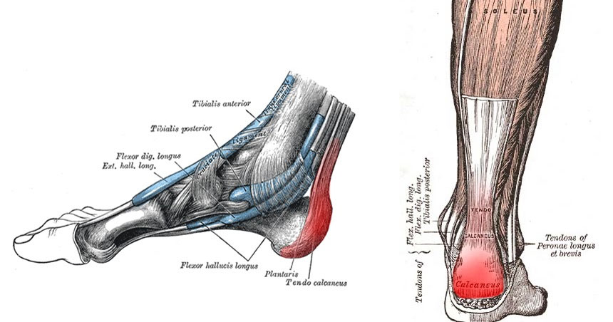 Achilles tendon pain - Step by Step Guide to Recovery - Sundial Clinics